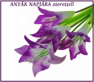 Lila orchideák